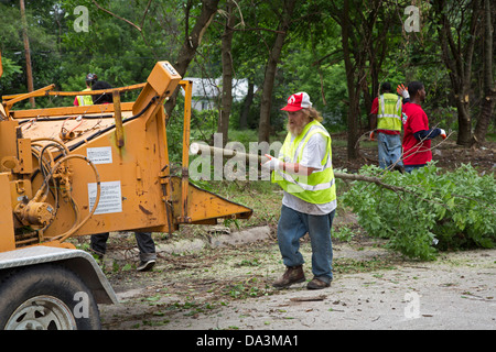 Workers feed bush and small trees into a chipper as the Detroit Blight Authority cleans up the Brightmoor neighborhood. Stock Photo