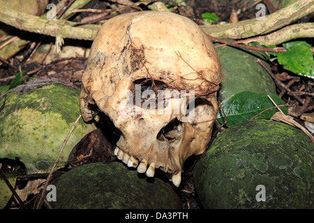 Skull at the cemetery at the Bali Aga village of Trunyan. Bali Stock Photo