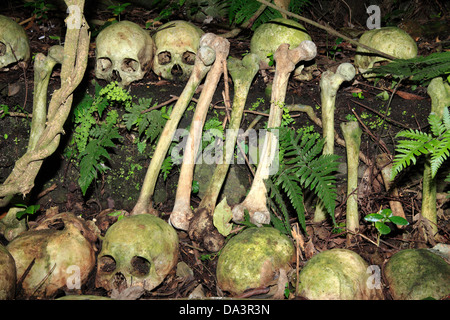 Skulls and bones at Trunyan Cemetery. This village in Bali, Indonesia does not bury it's dead, rather leaves them above ground. Stock Photo