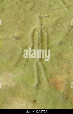 The Sanilac Petroglyphs. Rock carvings from previous inhabitants Stock ...