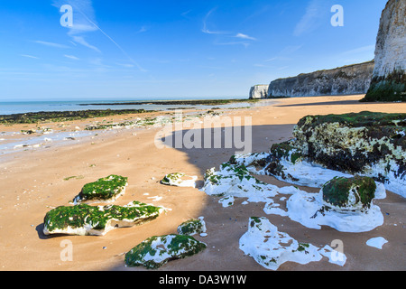 Chalk Cliffs at Botany Bay beach at Broadstairs on the Kent Coastline England UK Stock Photo