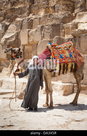 Man and camel beside Great Pyramid of Giza, also known as Pyramid of Khufu and Pyramid of Cheops, Giza, Cairo, Egypt Stock Photo