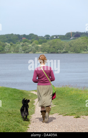 woman walking her dog beside the sea, Haithabu, Schlei, Schleswig-Holstein, Germany Stock Photo