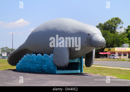 Florida Homosassa Springs,Ellie Schiller Homosassa Springs Wildlife State Park,giant West Indian manatee,roadside America,humor,humorous,humour,funny, Stock Photo