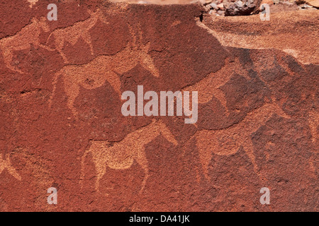Ancient rock etchings, Twyfelfontein UNESCO World Heritage Site, Damaraland, Namibia, Africa Stock Photo