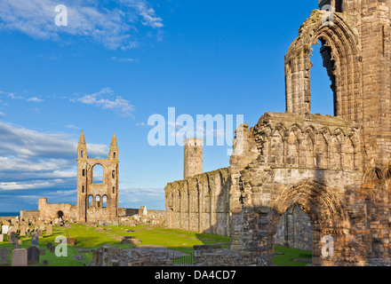 St Andrews Scotland Ruins of St Andrews Cathedral Royal Burgh of St Andrews Fife Scotland UK GB Europe Stock Photo