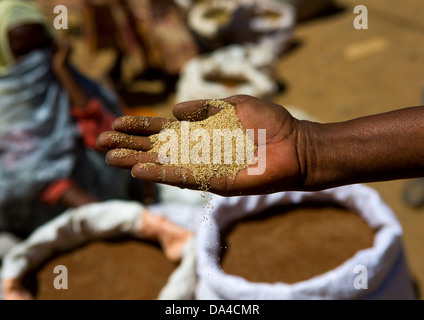 Woman With Grains In Her Hand At The Market Place, Mendefera, Eritrea Stock Photo