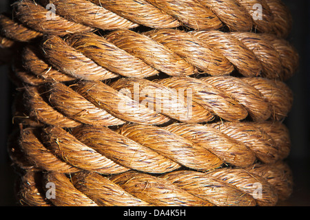 macro of coil of sissle rope Stock Photo