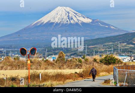Farmland below Mt. Fuji in Japan. Stock Photo