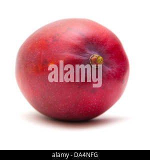 mango fruit isolated Stock Photo