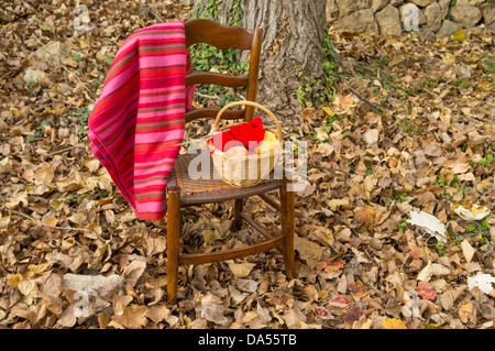Knitting wool against a beautiful autumn background Stock Photo