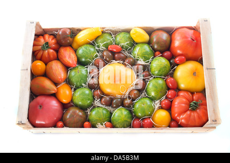 crate of tomatoes in front of white background Stock Photo