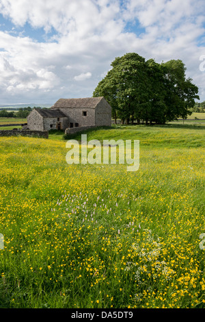 Old stone barn in field of buttercups, Chelmorton, Peak District, Derbyshire, England Stock Photo