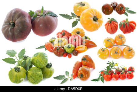 ancient varieties of tomatoes in front of white background Stock Photo
