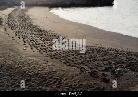 Footprints in the sand on the beach at Playa San Juan, Tenerife, Canary Islands, Spain Stock Photo