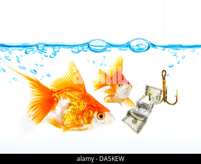 Gold small fishes under water ... Stock Photo