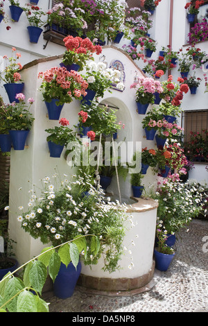 Typical Andalusian courtyard whit flowers during the festival 'Patios'Cordoba,Andalusia,Spain,Europe. Stock Photo
