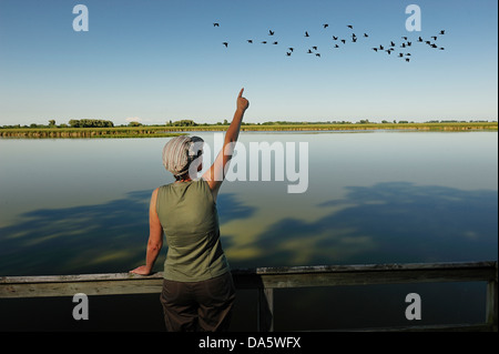 Canada, Leamington, Ontario, Point Pelee, National Park, Travel, birds, birdwatcher, birdwatching, day, daytime, marsh, Park, na Stock Photo