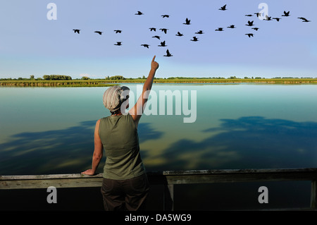 Woman, birdwatching, bird watcher, Sanctuary Pond, Point Pelee, National Park, Leamington, Ontario, Canada, birds Stock Photo