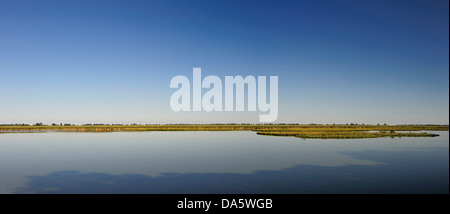 Canada, Leamington, Ontario, Point Pelee, National Park, Travel, day, daytime, marsh, Park, nature, pond, sanctuary pond, shadow Stock Photo