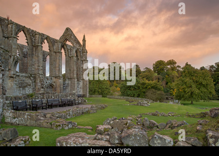 View of sunlit, ancient, picturesque monastic ruins of Bolton Abbey in scenic countryside against dramatic sunset sky - Yorkshire Dales, England, UK.