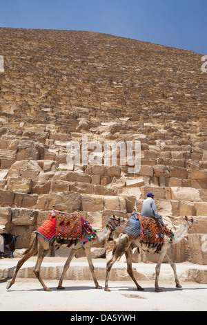 Man and camels beside Great Pyramid of Giza, also known as Pyramid of Khufu and Pyramid of Cheops, Giza, Cairo, Egypt Stock Photo