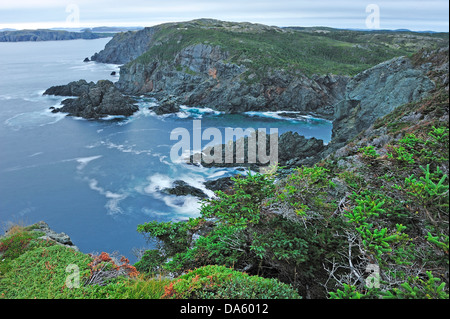 Rugged, rocky, coastline, Long Point Lighthouse, Crow Head, Newfoundland, Canada, landscape Stock Photo