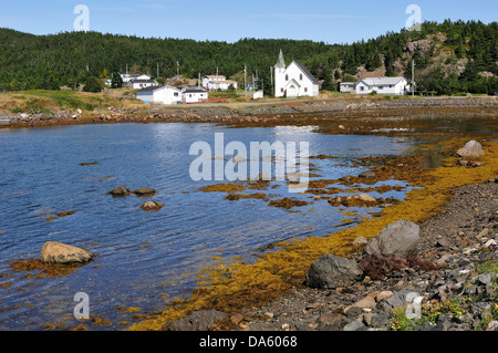 Fishing Village, North Coast, Newfoundland, Canada, village, water, forest Stock Photo