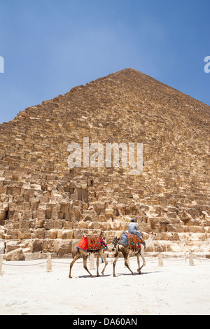 Man and camels beside Great Pyramid of Giza, also known as Pyramid of Khufu and Pyramid of Cheops, Giza, Cairo, Egypt Stock Photo