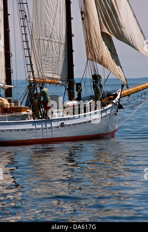 The passenger cruise schooner Timberwind sailing in Penobscot Bay outside the breakwater at Rockland Maine, Stock Photo