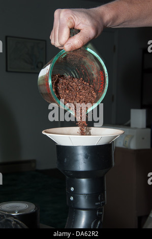 In a local chocolate kitchen, the roasted chocolate beans are poured into a device that will separate the beans from the hulls. Stock Photo