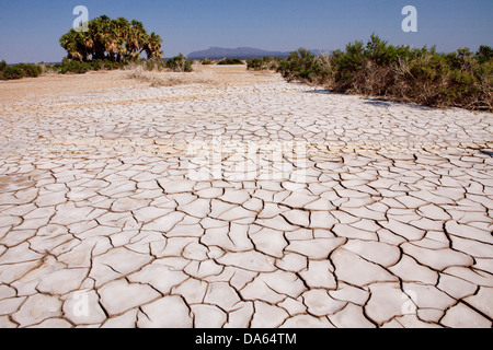 Danakil, Africa, Ethiopia, drily, tears, earth, desert Stock Photo