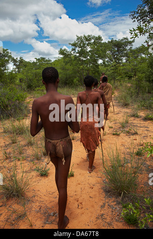 Educational bushwalk  at the Living Museum of the Ju/'Hoansi-San, Grashoek, Otjozondjupa Region, Namibia, Africa Stock Photo