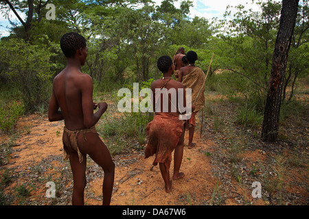 Educational bushwalk at the Living Museum of the Ju/'Hoansi-San, Grashoek, Otjozondjupa Region, Namibia, Africa Stock Photo