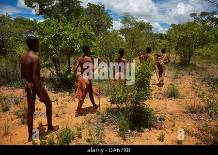 Educational bushwalk at the Living Museum of the Ju/'Hoansi-San, Grashoek, Otjozondjupa Region, Namibia, Africa Stock Photo