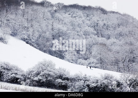 Woodland and farmland in snow at Minterne Magna, countryside near Sherborne, Dorset, Great Britain. Stock Photo