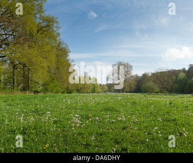 Limburg, Netherlands, Europe, Elsloo, castle estate, landscape, field, meadow, trees, spring, flowers, Stock Photo