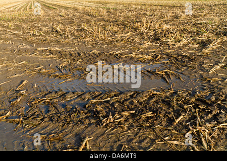 Muddy land with tyre tracks in the mud at the edge of a field on farmland that has just been harvested, England, UK Stock Photo