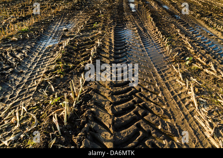 Mud. Tyre tracks on muddy land created by agricultural machinery on farmland during harvesting, England, UK Stock Photo
