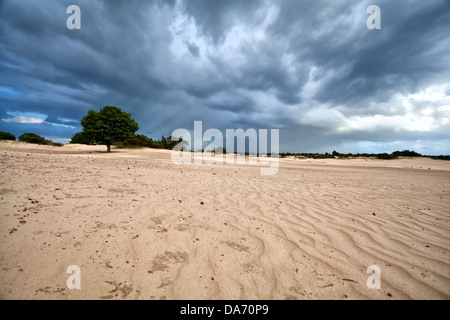 dark stormy clouds over sand dunes in the Netherlands Stock Photo