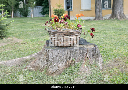 colorful flowers in a basket on a tree stump Stock Photo