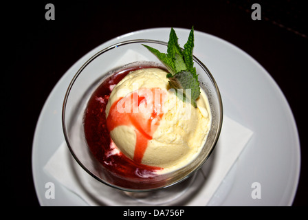 Homemade vanilla ice cream red raspberry sauce clear glass bowl sprig fresh mint dessert Stock Photo