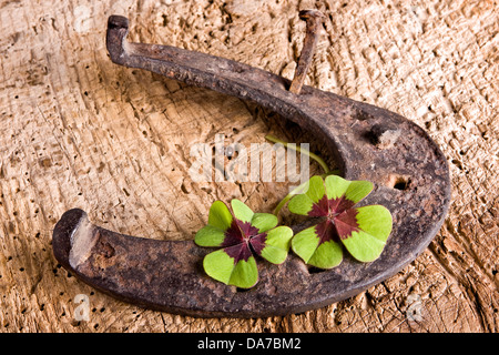 Vintage symbol of luck : rusty horse-shoe and clover Stock Photo