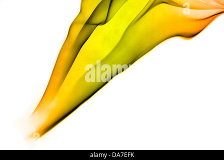 Colored sensitive abstract incense smoke Stock Photo