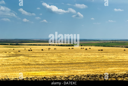 Rural landscape of freshly harvested field, golden hay bales and clear blue summer sky Stock Photo