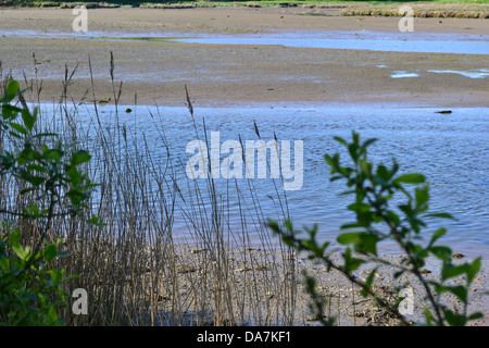 Springtime estuary at low tide. Nevern sands near Newport, Pembrokeshire in Wales. Stock Photo