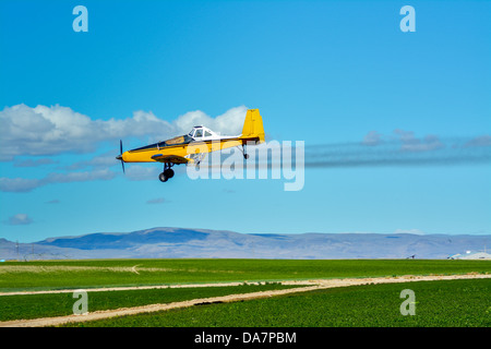 Crops get sprayed by an air plane Stock Photo