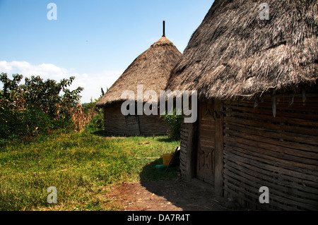 Gurage people typical dwellings, Ethiopia Stock Photo