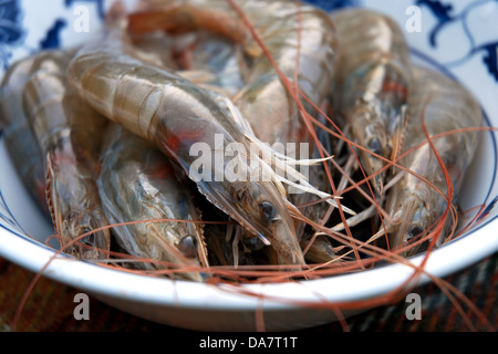 Bowl of raw tiger prawns Stock Photo
