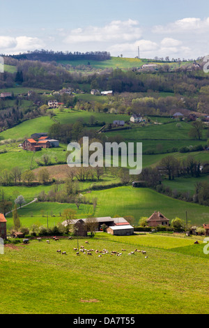 Bucolic landscape with hilly pastures, farmhouses and cows grazing in Midi-Pyrenees region of France Stock Photo